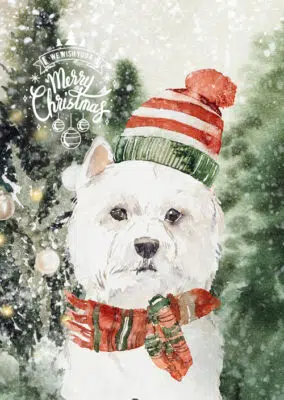 Free DIY Christmas printables, Christmas gift tags, printable Christmas cards, free printable Christmas, holiday favor tags, DIY Christmas card, Christmas crafts, festive DIY crafts, personalized Christmas gifts, printable template download free, holiday printables, DIY gift ideas, Christmas paper crafts, free printables PDF, DIY holiday decor, Christmas printables free download.
