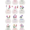 2027 & 2028 Bloom Flowers Printable Floral Desk Calendar DIY | Instant Download (SVG, PNG, PDF) 2027 & 2028 Bloom Flowers Printable Floral Desk Calendar DIY