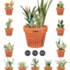 Cactus Succulent Pot Watercolor Desk Calendar Printable | Terracotta Houseplant Monthly Cards Calendar 2027 2028 Cactus Succulent Pot Watercolor Desk Calendar Printable | Terracotta Houseplant Monthly Cards Calendar 2027 2028