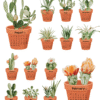 Cactus Succulent Pot Watercolor Desk Calendar Printable | Terracotta Houseplant Monthly Cards Calendar 2027 2028 Cactus Succulent Pot Watercolor Desk Calendar Printable | Terracotta Houseplant Monthly Cards Calendar 2027 2028
